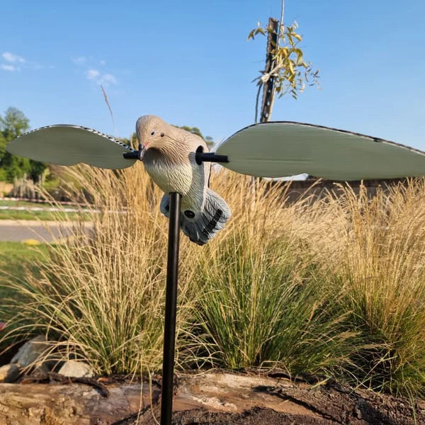 Dove Decoy - Pigeon on Spike With Rotating Wings